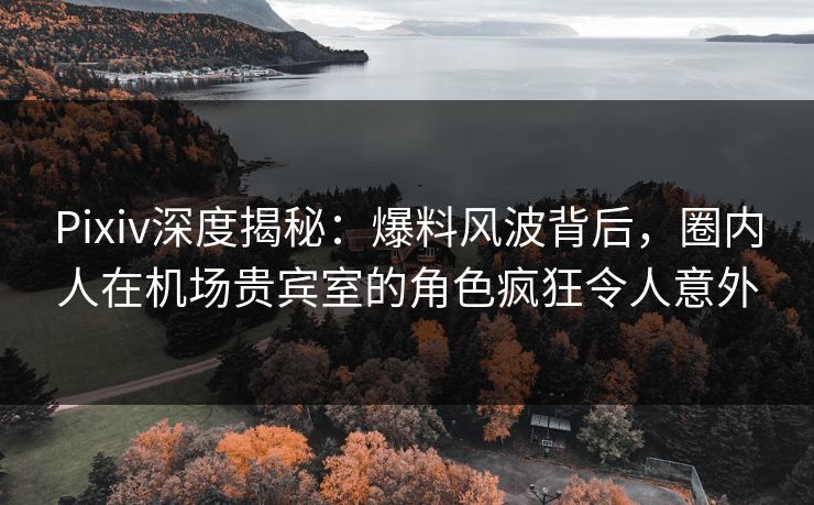 Pixiv深度揭秘：爆料风波背后，圈内人在机场贵宾室的角色疯狂令人意外