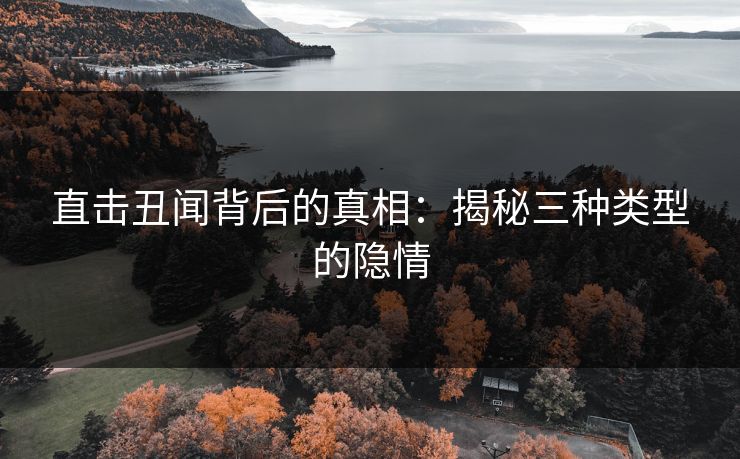 直击丑闻背后的真相：揭秘三种类型的隐情