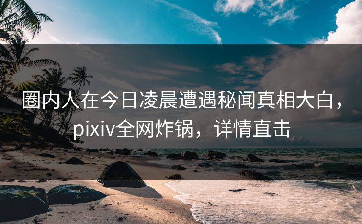 圈内人在今日凌晨遭遇秘闻真相大白，pixiv全网炸锅，详情直击