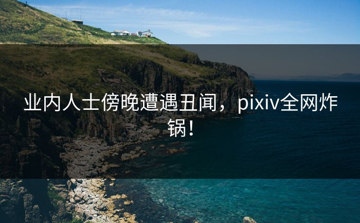 业内人士傍晚遭遇丑闻，pixiv全网炸锅！